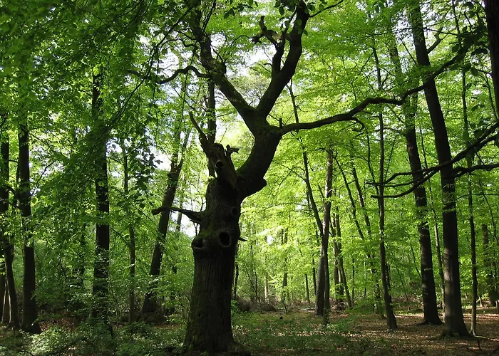 Restaurant Clemens-august 3* Ascheberg (North Rhine-Westphalia)